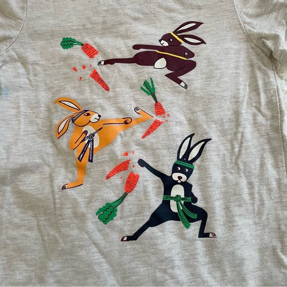 Cat & Jack 5T Kids Cream Easter Spring Ninja Bunny Carrot Short Sleeve Shirt - Picture 2 of 5